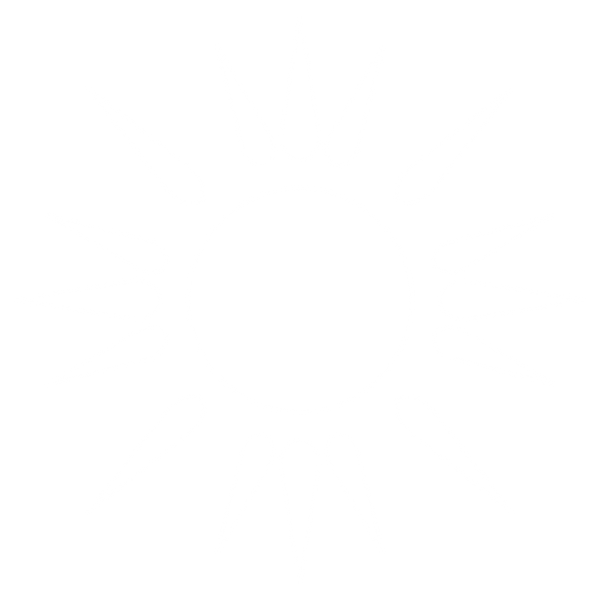Dyamond Human
